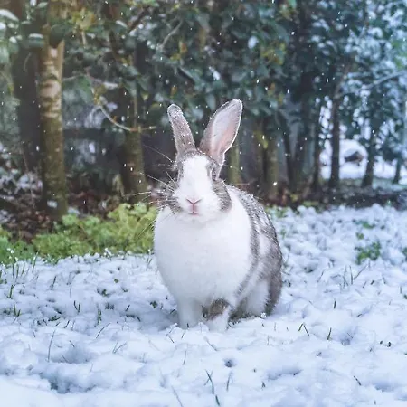 Country house El Manantial Del Fresno - Casas Rurales En Hervas Hervas
